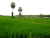 Krabi cycling